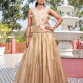 Elegant Beige Gold Crush Silk Embroidered Party Wear Readymade Lehenga Choli Set 