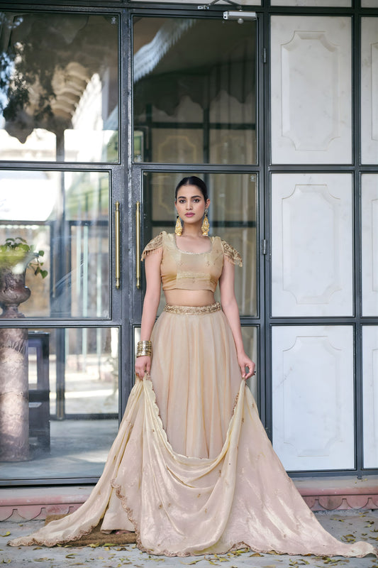 Wonderful Cream Fandy Silk Lehenga Choli Heavy Embroidered Dupatta