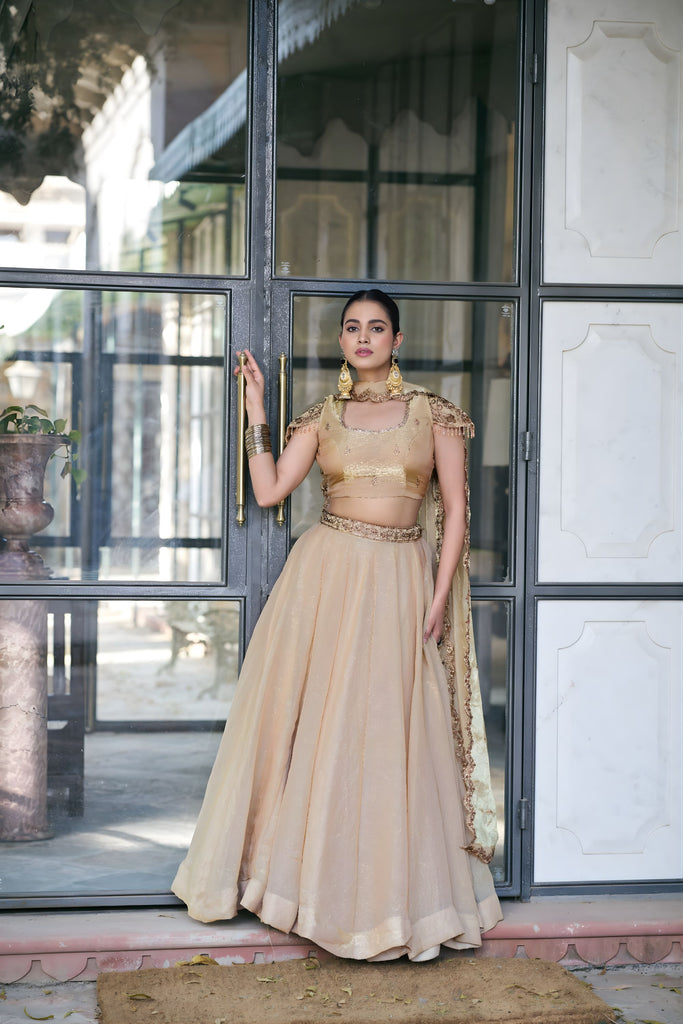 Wonderful Cream Fandy Silk Lehenga Choli with Heavy Embroidered Dupatta