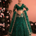 Beautiful Rama Green Butterfly Net Heavy Embroidered Lehenga Choli with Designer Dupatta for Wedding