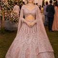 Stylish Pink Net Embroidered Bridal Lehenga Choli with Designer Dupatta for Wedding