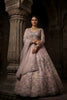 Lovely Pink Butterfly Net Embroidered Designer Lehenga Choli with Dupatta for Wedding