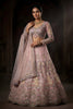 Lovely Pink Butterfly Net Embroidered Designer Lehenga Choli with Dupatta for Wedding