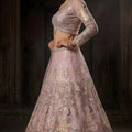 Lovely Pink Butterfly Net Embroidered Designer Lehenga Choli with Dupatta for Wedding