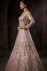 Lovely Pink Butterfly Net Embroidered Designer Lehenga Choli with Dupatta for Wedding