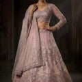 Lovely Pink Butterfly Net Embroidered Designer Lehenga Choli with Dupatta for Wedding