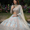 Graceful Sky Blue Butterfly Net Embroidered Designer Lehenga Choli with Dupatta for Wedding