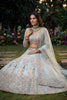 Graceful Sky Blue Butterfly Net Embroidered Designer Lehenga Choli with Dupatta for Wedding