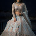 Graceful Sky Blue Butterfly Net Embroidered Designer Lehenga Choli with Dupatta for Wedding