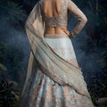 Graceful Sky Blue Butterfly Net Embroidered Designer Lehenga Choli with Dupatta for Wedding