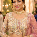 Graceful Pink Net Embroidered Designer Lehenga Choli with Dupatta for Wedding