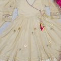 Stylish Off White Soft Chinon Complete Handmade Gottapatti Work Anarkali Suit