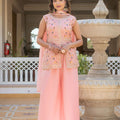 Beautiful Baby Pink Premium Star Georgette Palazzo Suit Embroidery for Women