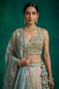 Stunning Multicolor Designer Lehenga Choli with Embroidery Work and Matching Dupatta