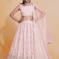 Elegant Pink Georgette Designer Lehenga Choli with Embroidery Work and Soft Net Dupatta