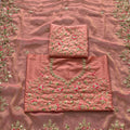 Elegant Peach Pink Soft Moss Chiffon Embroidered Saree Cutwork Border for Women