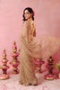 Elegant Beige Net Embroidery Work Designer Saree for Women