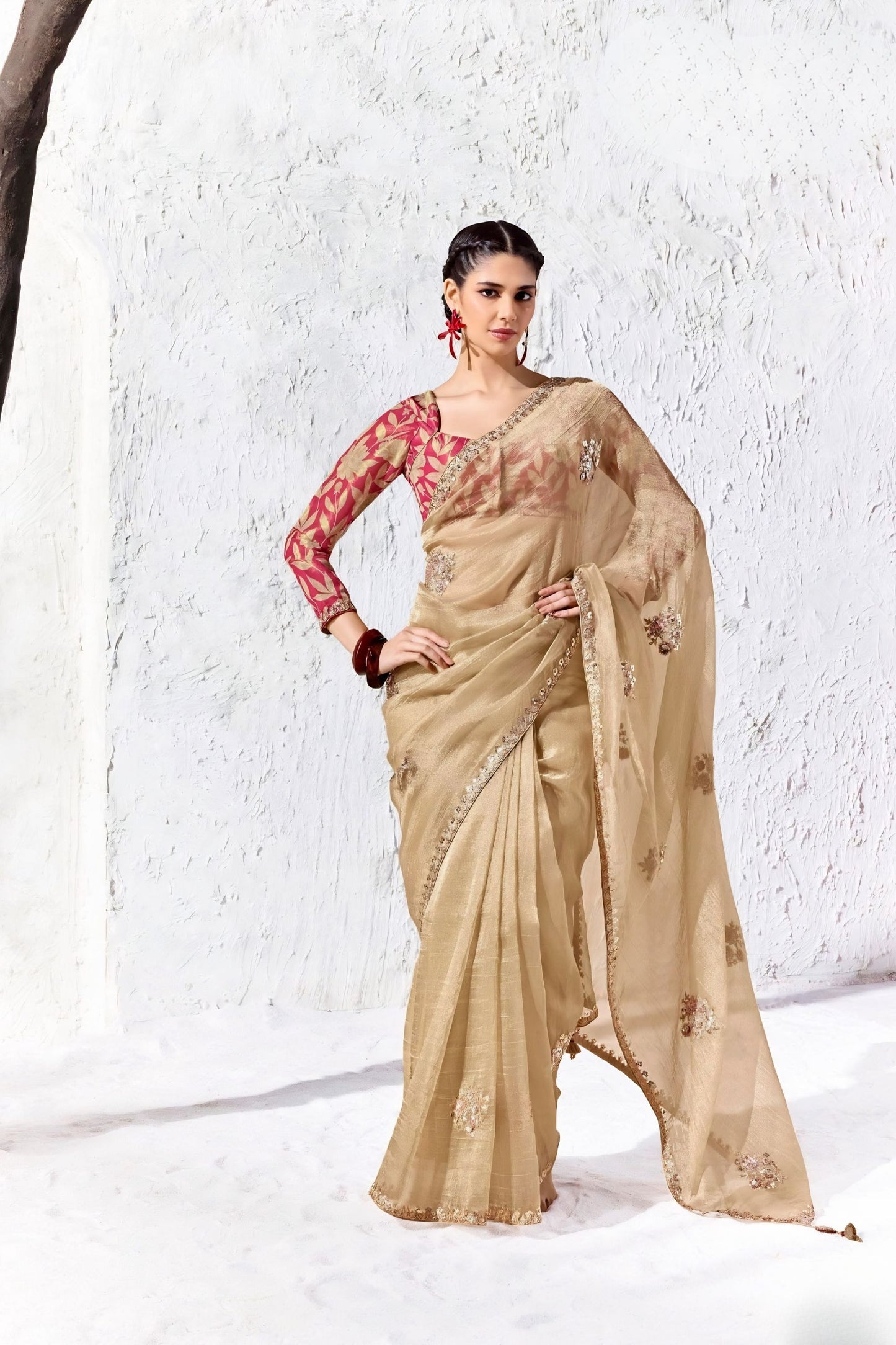 Stylish Beige Premium Luxe Silk Organza Saree with Embroidery Work for Women