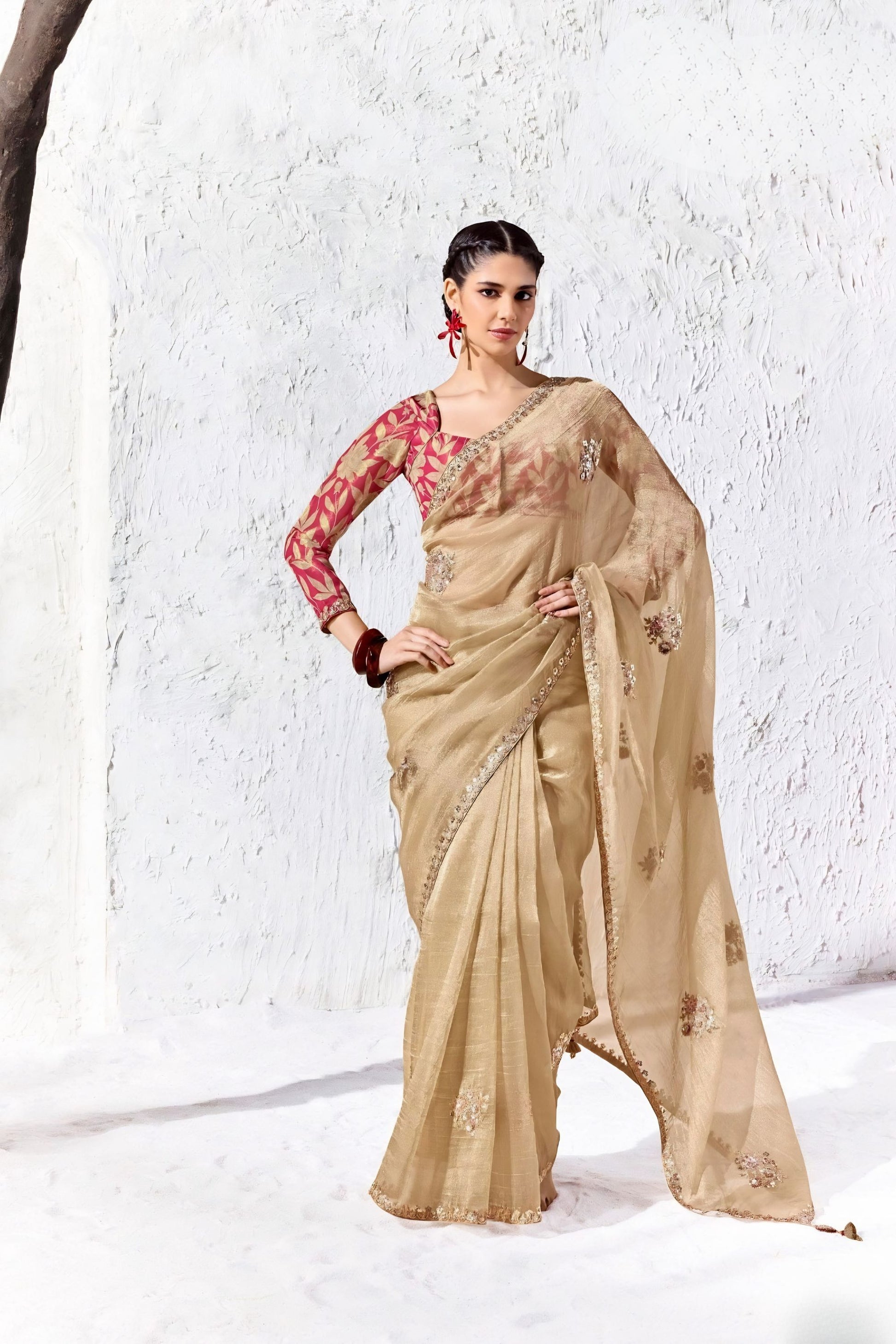 Stylish Beige Premium Luxe Silk Organza Saree with Embroidery Work for Women