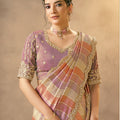 Multicolor Striped Silk Saree with Embroidered Border Designer Blouse