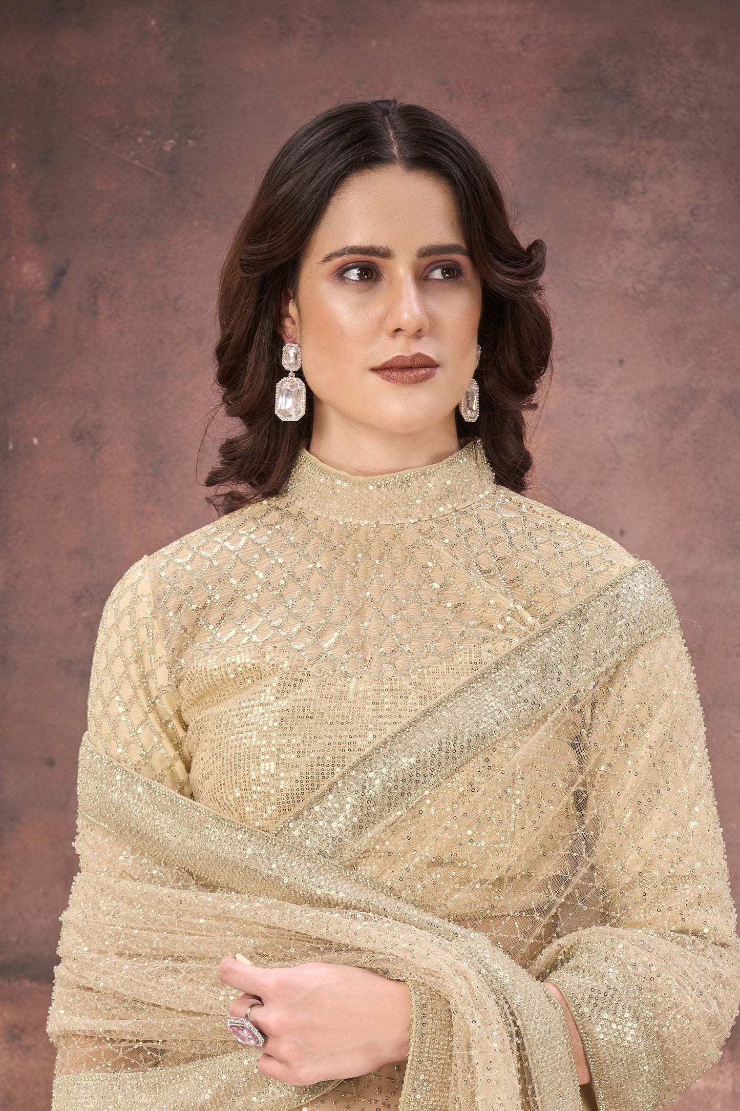 Designer Beige Net Saree with Heavy Blouse Party Wear Saree