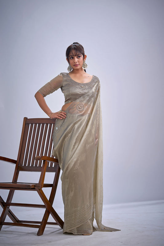 Light Gold Tissue Silk Saree with Zari Border Designer Blouse
