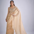 Champagne Gold Embroidered Silk Saree Designer Blouse