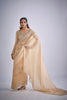 Champagne Gold Embroidered Silk Saree Designer Blouse
