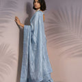 Sky Blue Silk Saree with Embroidered Border Designer Blouse