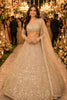 Elegant Beige Net Embroidered Bridal Lehenga Choli with Designer Dupatta for Wedding
