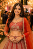 Admirable Red Net Embroidered Bridal Lehenga Choli with Designer Dupatta for Wedding
