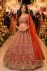 Admirable Red Net Embroidered Bridal Lehenga Choli with Designer Dupatta for Wedding