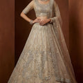 Superb Beige Embroidered Sequins Net Lehenga Choli with Dupatta for Women