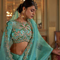 Sea Green Organza Saree with Floral Embroidered Border Designer Blouse