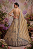 Stylish Beige Net Embroidered Bridal Lehenga Choli with Designer Dupatta for Wedding Wear