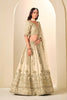 Stunning Beige Embroidered Art Silk Lehenga Choli with Dupatta for Wedding