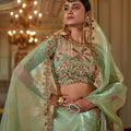 Pista Green Organza Saree Pink Floral Embroidered Border Designer Blouse
