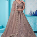 Stylish Brown Chandnia Silk Heavy Designer Lehenga Choli with Multi Thread Work
