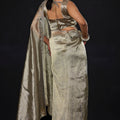 Gold Shimmer Silk Saree Heavy Zari Stone Embroidered Border