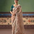 Champagne Brown Organza Silk Saree with Silver Embroidery Border