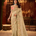 Beige Embroidered Designer Saree with Border Contrast Blouse 