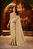 Beige Embroidered Designer Saree with Border Contrast Blouse 