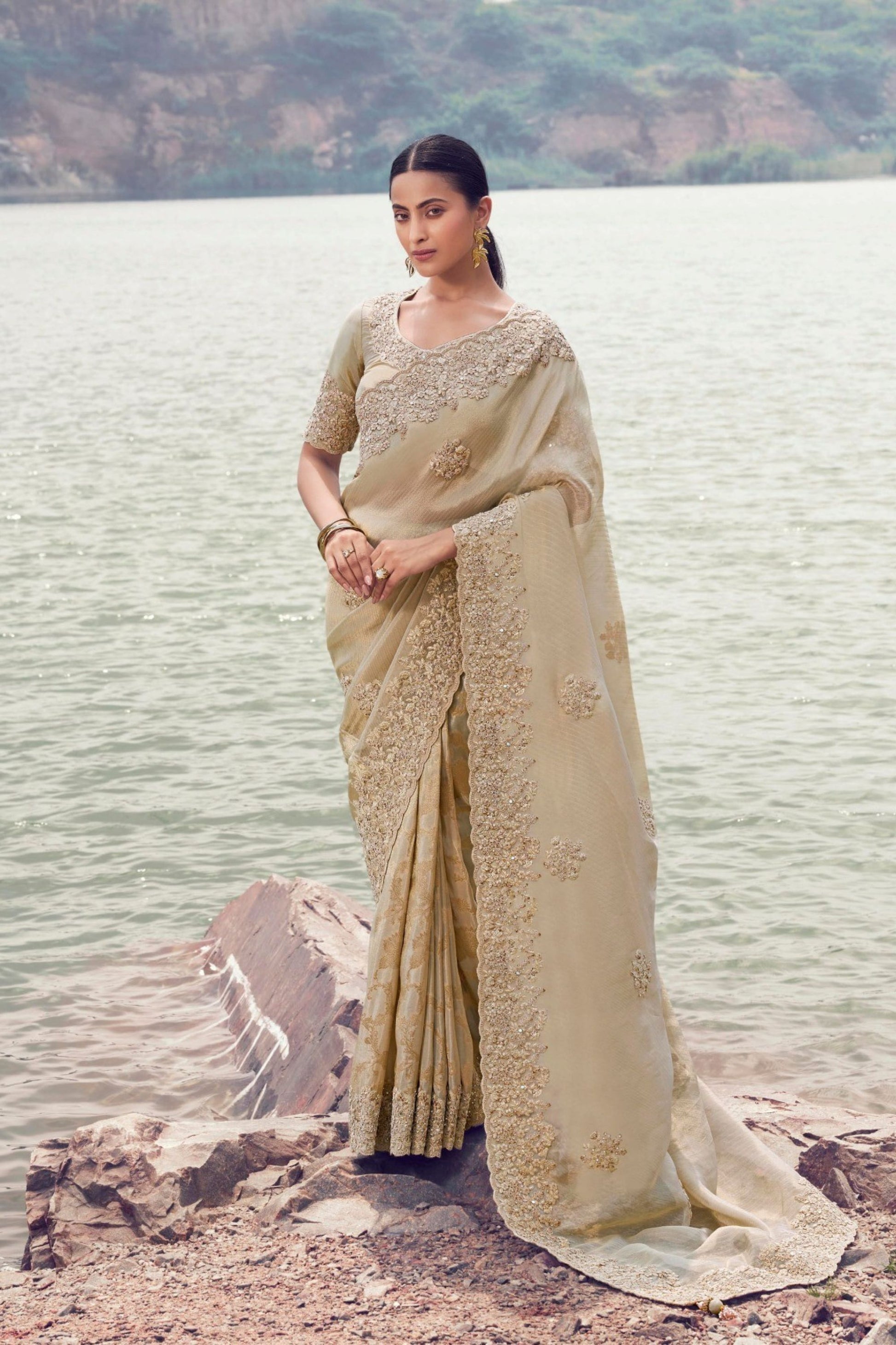 Beige Embroidered Silk Saree Designer Heavy Border Saree with Blouse