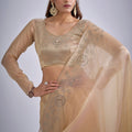 Champagne Gold Embroidered Silk Saree Designer Blouse