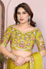 Lime Green Silk Saree with Floral Embroidered Border Designer Blouse