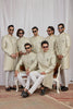 Wonderful Green Jacquard Wedding Wear Indo Western for Men