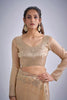 Champagne Gold Embroidered Silk Saree Designer Blouse