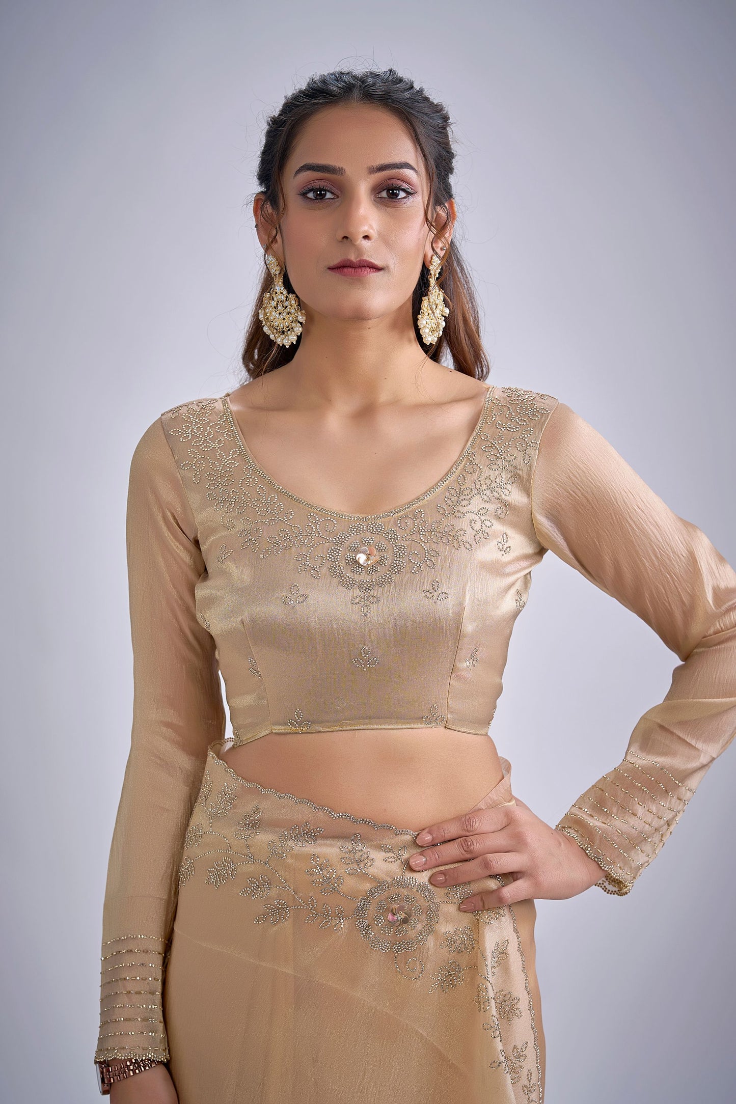 Champagne Gold Embroidered Silk Saree Designer Blouse