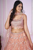 Stunning Peach Pink Sequins Embroidered Soft Net Lehenga Choli with Dupatta for Women