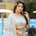 Amazing Grey Embroidered Organza Lehenga Choli with Dupatta for Wedding